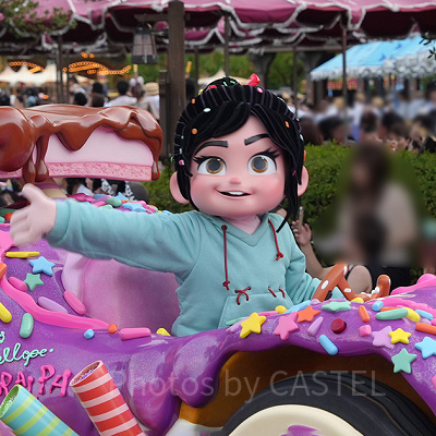 ヴァネロペの不具合との関係