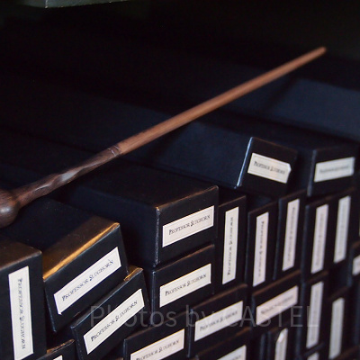 リーマス・ルーピンの杖