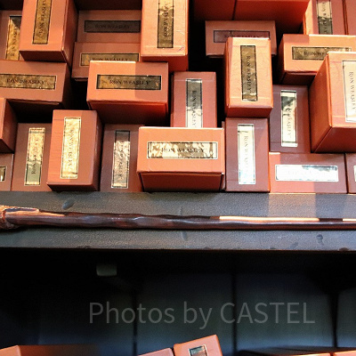 ロン・ウィーズリーの杖