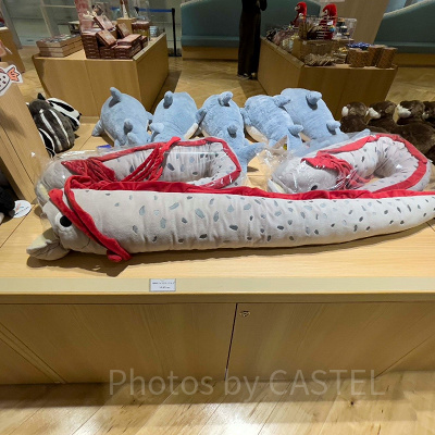 リュウグウノツカイ