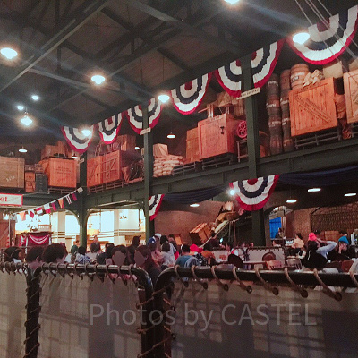 セイリングデイ・ブッフェの背景＆ストーリー