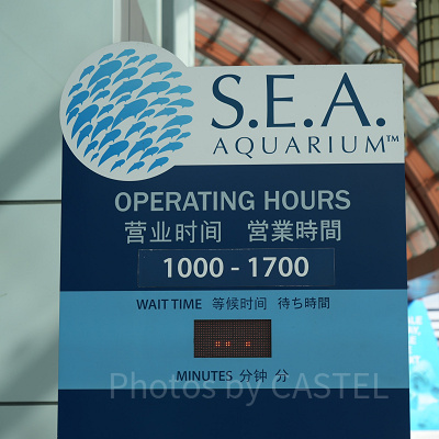 シーアクアリウム：営業時間