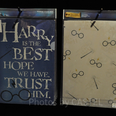 Harry’s Glasses（ハリーズグラッシーズ）のクリアファイル2枚セット