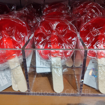 上海ディズニーズートピアグッズ：パウプシクルキャンディー