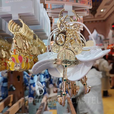 上海ディズニーズートピアグッズ：ズートピアエリアの鍵型キーチェーン