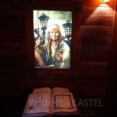 個人手配で上海ディズニーランド