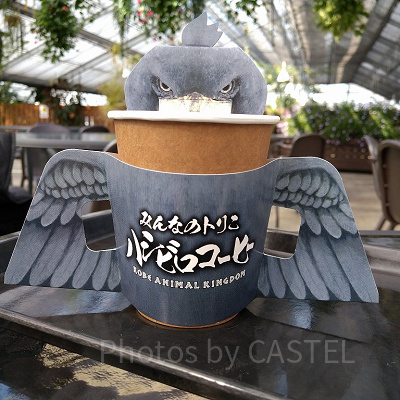 ハシビロコーヒー／神戸どうぶつ王国