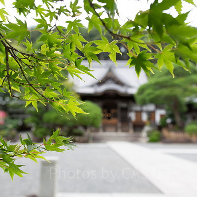 SIGMA 18-35mm F1.8 DC HSM　作例