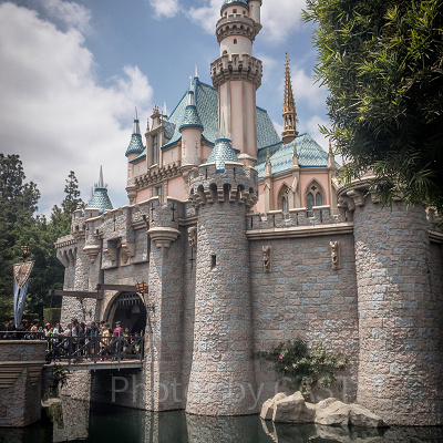 『眠れる森の美女』60周年