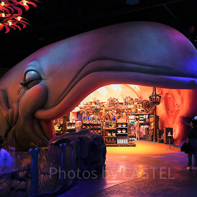 東京ディズニーシーのスリーピーホエールショップ