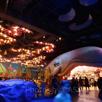 スリーピーホエール・ショップ