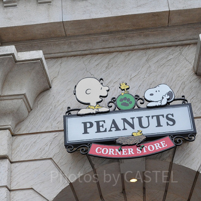 スヌーピーとチャーリーブラウン