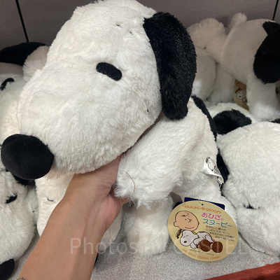 おひざにスヌーピー