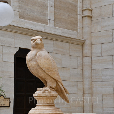 ソアリンの酔いやすさ