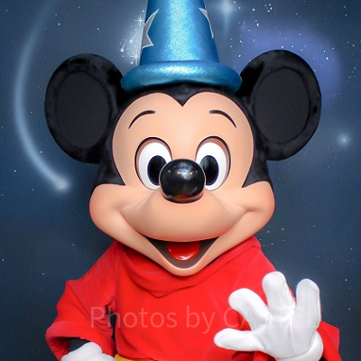 魔法使いの弟子