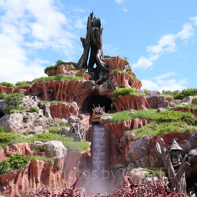 ディズニーランドの落ちるアトラクションと言えばスプラッシュ・マウンテン