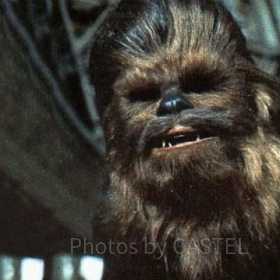 スターウォーズ・チューバッカ
