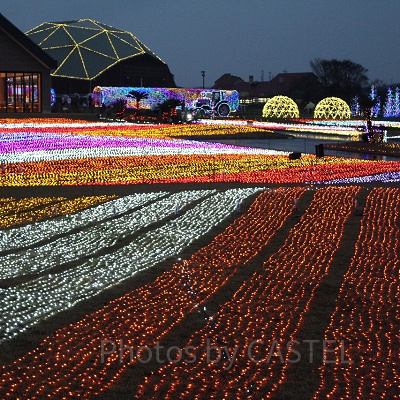 2020年イルミネーションの様子