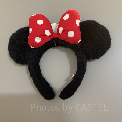 フックで固定した収納方法