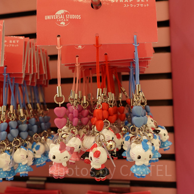 ストラップセット