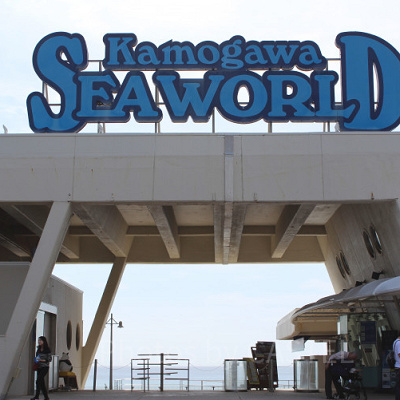 鴨川シーワールドまとめ
