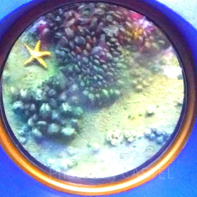 本物の潜水艦なので超リアル！こんな小窓から外を見ます