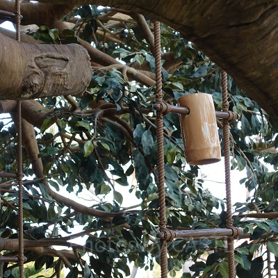 スイスファミリー・ツリーハウス：水をくみ上げる装置