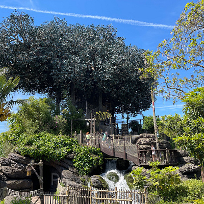 スイスファミリー・ツリーハウス(ディズニーランド・パリ)