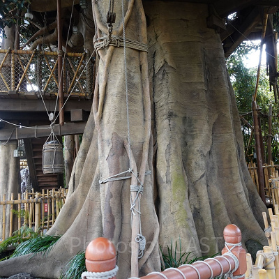 スイスファミリー・ツリーハウス：大木の幹