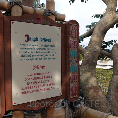 スイスファミリー・ツリーハウス：見張り台