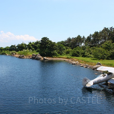 『ロビンフッド』のあらすじ