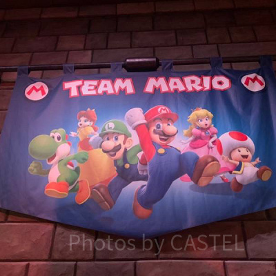 チームマリオのフラッグ
