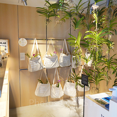 teamLab Flower Shop