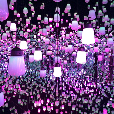 チームラボフォレスト：チームラボとは