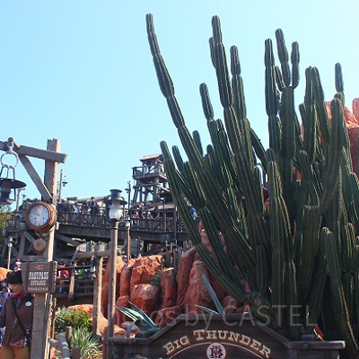 ビッグサンダーマウンテンがあるあのエリア