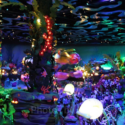 ジャンピン・ジェリーフィッシュの魅力