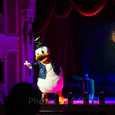 ザ・ダイヤモンド・バラエティマスター：ドナルド