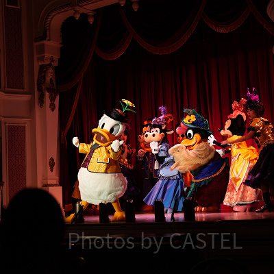 ザ・ダイヤモンド・バラエティマスター：ドナルド