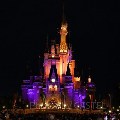 幻想的なシンデレラ城はパークのランドマーク