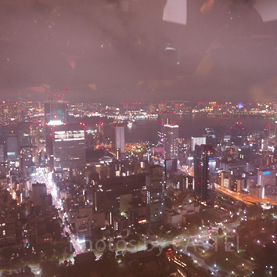 東京タワーから見る夜景は絶景です！