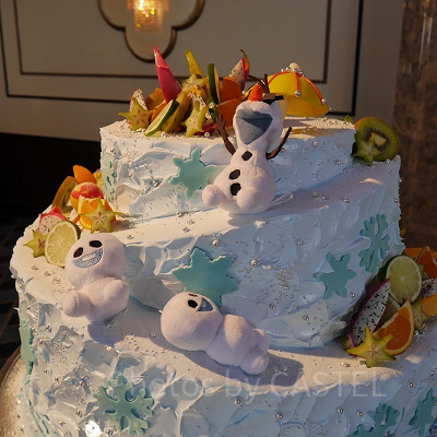 大人気“アナと雪の女王”のプラン。