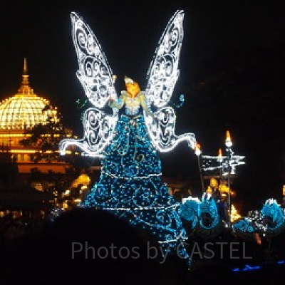 キラキラした姿は女の子の永遠の憧れです…♪