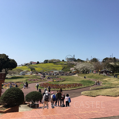 まきばゲートから入場した時の景色