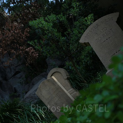 スタンバイで並ぶ場所、Qラインにはたくさんのお墓が。書いてある字をよく見ると意外な事実がわかるかも…？