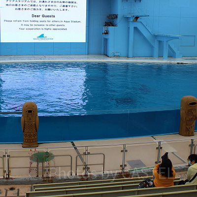 シーパラのショーは濡れる心配なし♪