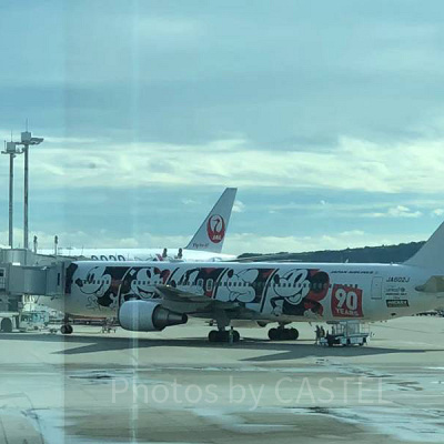 GoToでディズニー旅行を予約する前に知っておくべきこと