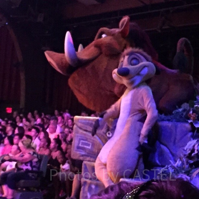 アフリカの大地 （This Land）