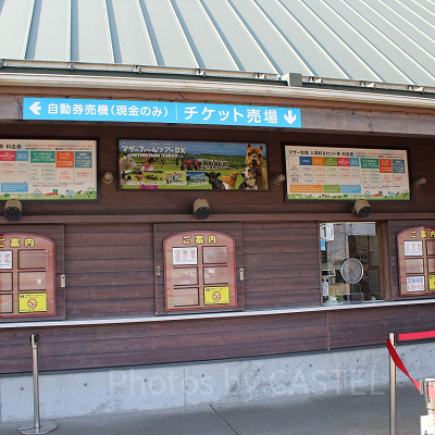 チケット売り場