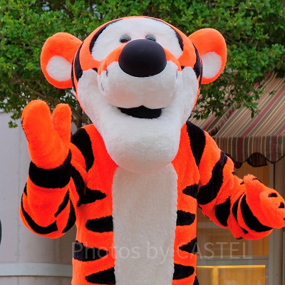 グリーティングで会えるティガー