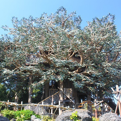 人が少ない時間帯がより一層おすすめ